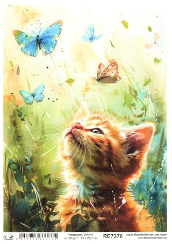 Josys Bastelmärchen Reispapier DIN A4 Strohseide Decoupage süße Katze Schmetterlinge Wiese RE7376 von Josys Bastelmärchen