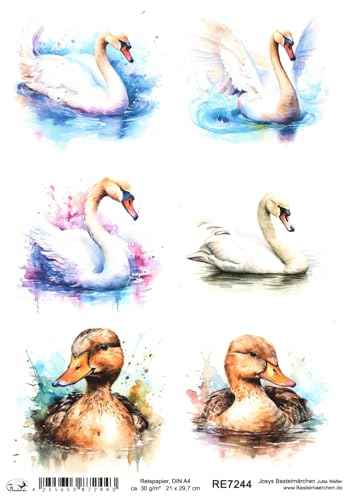 Josys Bastelmärchen Reispapier DIN A4 Strohseide Einheimische Vögel Vogel Schwan Ente RE7244 von Josys Bastelmärchen