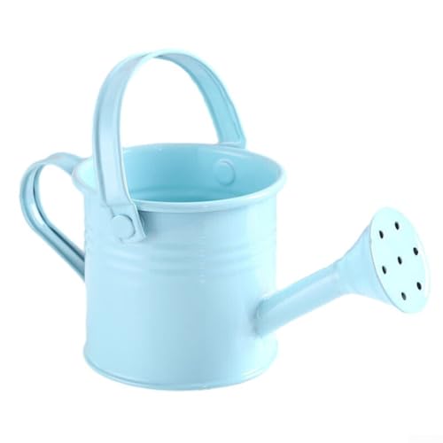 Jotekonoby Bunte Metall-Gießkanne, Kinder-Garten-Wassertopf für Gartenpflanzen, 1 l Gießkanne Gartensprüher, lange Öffnung, Blumentopf-Sprinkler (hellblau) von Jotekonoby