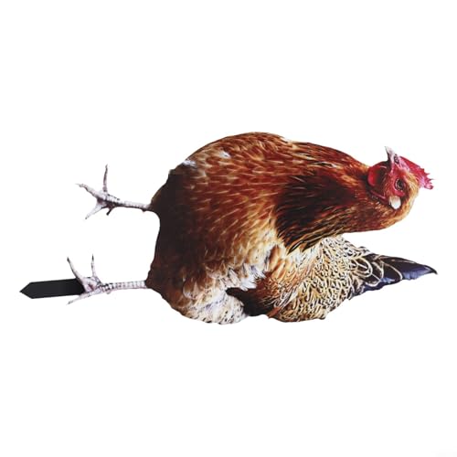 Jotekonoby Chicken Yard Art Garten Henne Dekoration Ornament Schild Acryl Hahn Tier (B) von Jotekonoby