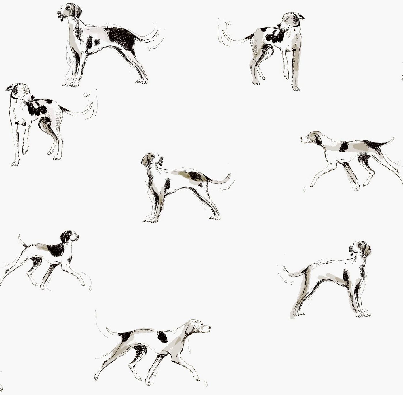 Joules Vliestapete Sketchy Dogs Crème, glatt, animal print, (1 St), animal print von Joules