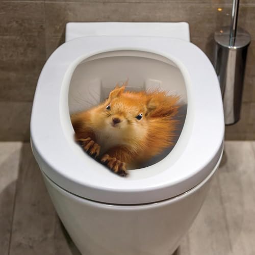 Jowxsx Gelb 3D Eichhörnchen Toilettensitz Aufkleber - 3D Eichhörnchen Toilettensitz Aufkleber, Eichhörnchen Toilettendeckel Aufkleber Toilettendeckel Badezimmer WC Aufkleber Lustiger Toilettendeckel von Jowxsx