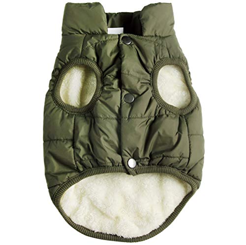 JoyDaog Hundejacke für den Winter und kaltes Wetter, 2-lagiges Fleece, warm, weich, winddicht, für mittelgroße Hunde, Grün, Größe L von JoyDaog