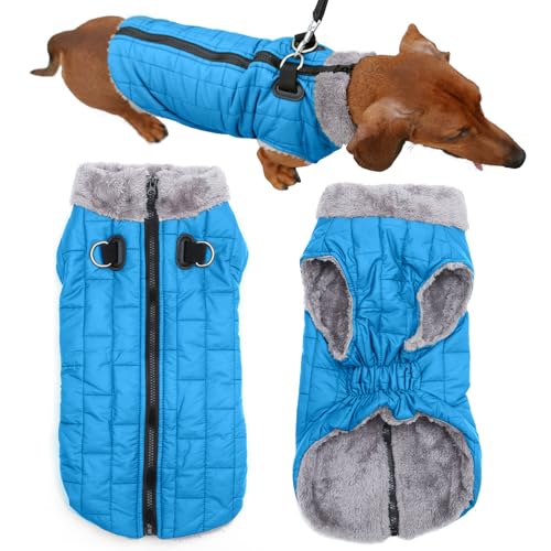 JoyDaog Warmer Fleece-Hundemantel mit strapazierfähigem Geschirr mit D-Ring, wasserdichte Welpenjacke für kleine Hunde, Hundeweste für den kalten Winter, Hellblau, Größe S JoyDaog Warmer Fleece-Hundemantel mit strapazierfähigem Geschirr mit D-Ring, wasserdichte Welpenjacke für kleine Hunde, Hundeweste für den kalten Winter, Hellblau, Größe S von JoyDaog
