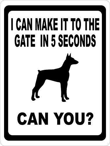 Joycenie Blechschild aus Aluminium, Aufschrift "I Can Make It to Gate in 5 Seconds Can You", Wanddekoration, 30,5 x 20,3 cm Joycenie Blechschild aus Aluminium, Aufschrift "I Can Make It to Gate in 5 Seconds Can You", Wanddekoration, 30,5 x 20,3 cm von Joycenie