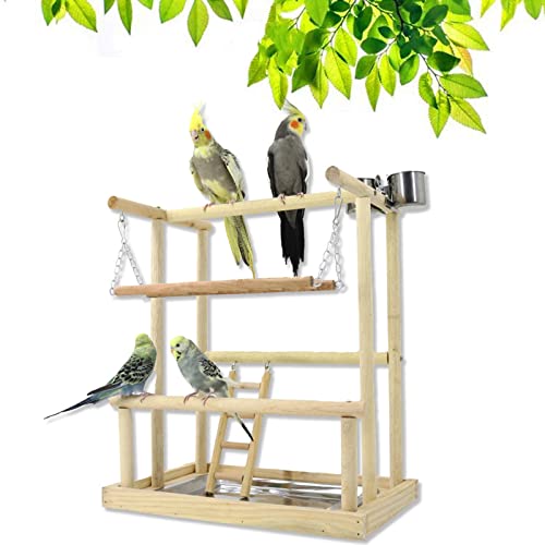 Joyeee Parrot Playstand Holzspielstudio, Edelstahl-Papageien-Futterschüssel, Vogelschaukel, Vogelleiter, Tablett, Vogelsitzstangen für Nymphensittiche zum Trainieren, 39,9 x 25,9 x 45,5 cm L von Joyeee