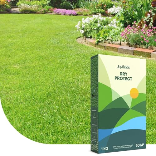 Dry Protect - Trockenrasen-Samen - 3 kg für 150 m² - Widerstandsfähig gegen Trockenheit und Hitze - Tiefe und robuste Wurzeln - Mit Beschichtung für optimale Keimung von Joyfields