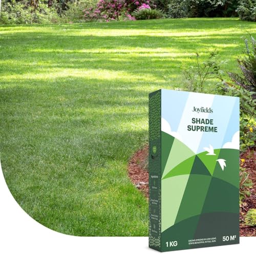 Shade Supreme - Schattenrasen-Samen - 3 kg für 150 m² - Bildet einen dichten Rasen - Verhindert Moosbildung im Rasen - Mit Beschichtung für optimale Keimung von Joyfields