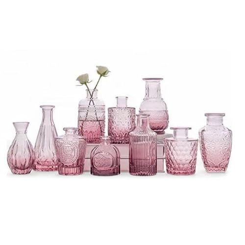 10 Sets Rosa Glass Vase - Clear Bud Vase in Bulk - Mini Vintage Vase for Centerpiece - Rustic Wedding Decorations, Home Table Flower Decoration von Joyfulmap