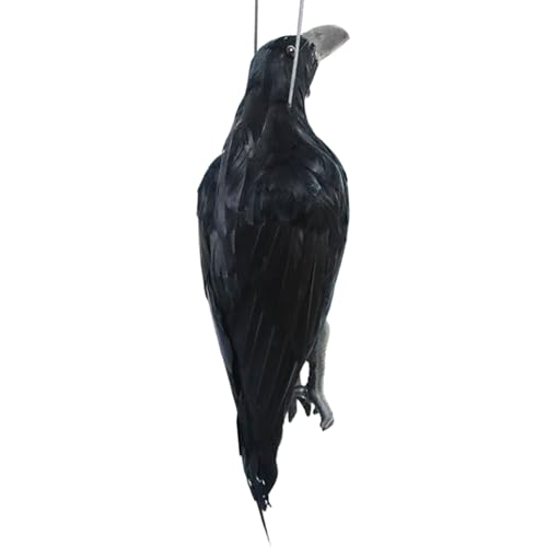 Dead Crow Dekoy, 17 Zoll Halloween Realistisch hängende gefiederte Schwarze Krähen Lifinesize Raven Decor für Home Garden Yard Krähe von Joygoodta