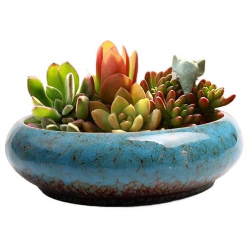 Joygoodta Lotus Bowl Pflanzer, 7, 4x7, 3x2, 1 Zoll Keramik Lotusschale, Wasserlilie Narziss Bonsai Pot Hydroponic Sukkulat für Innen- und Außenpflanze Blau von Joygoodta