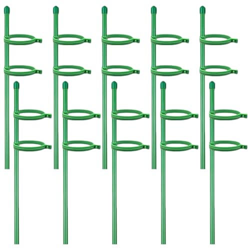 Pflanzenstangenstütze, 10pcs 12 -Zoll -Pflanzenstöcke mit 20 Prozent Verstellbarer Stützring, Garteneinsätze für Topf -Tomaten Amaryllis Gemüse Pflanzenstangenstütze, 10pcs 12 -Zoll -Pflanzenstöcke mit 20 Prozent Verstellbarer Stützring, Garteneinsätze für Topf -Tomaten Amaryllis Gemüse von Joygoodta