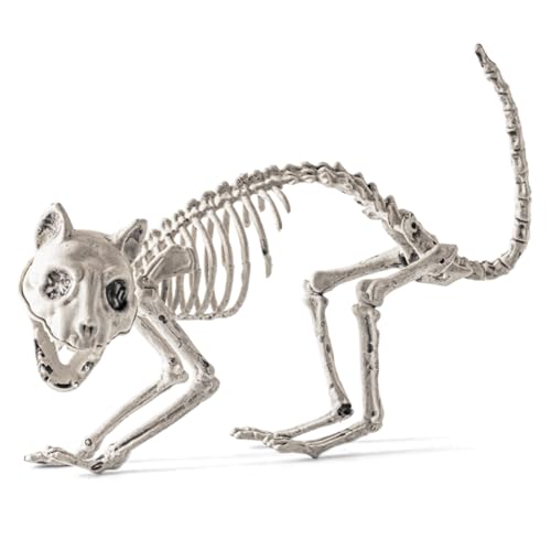 Skeletthund Scary Dog Skeleton Halloween mit scharfen Zähnen 12 x 9 Zoll Halloween Dekorationen für Zuhause, Party, Spukhaus von Joygoodta