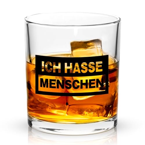 Joymaking Ich hasse Menschen Whiskeyglas, Whiskeyglas mit Spruch Lustig, Personalisierte Geschenke Weihnachten, Geburtstagsgeschenke für Freundin, Lustige Geschenke für Frauen Männer Weihnachten 310ml von Joymaking