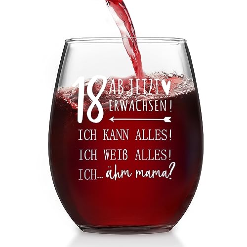 Joymaking Weinglas Geschenke zum 18. Geburtstag – Ab Jetzt Erwachsen, 18. Geburtstag Mädchen Junge Geschenk 18 Geburtstag, Coole Geschenkideen 18 Geburtstag, 18 Geburtstag Geschenk 18. Geburtstag Deko von Joymaking