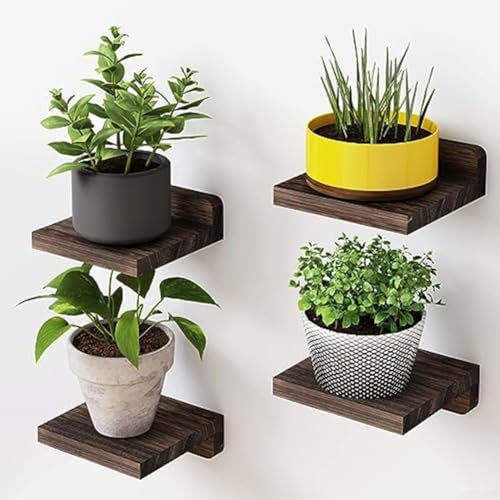 4 kleine Wandregale, 12,7 cm D x 12,7 cm B x 4,8 cm H, rustikales Holzregal-Set, platzsparend, elegante Vitrinen, unterstützt bis zu 4,5 kg (bis zu 4,5 kg) von JoyousMall