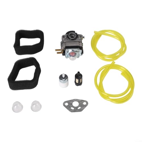 Komplett für Vergaser für RY252CS RY253SS RY251PH RY254BC 2-Takt 25cc Motor mit wesentlichen Teilen von JoyousMall