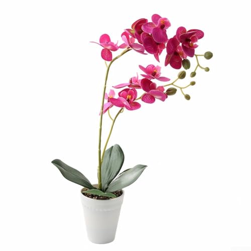Orchideen-Mittelstück mit zwei Stielen für stilvolle Dekoration zu Hause und Veranstaltung, 39 cm hoch, mit Blumentopf (lila) von JoyousMall