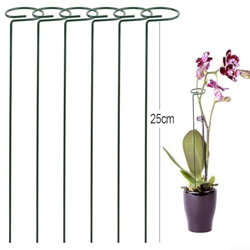 Unterstützen Sie Ihre Kletterpflanzen mit diesen 6 Metallpfähle mit Clips für eine einfache Verwendung im Garten (25) von JoyousMall