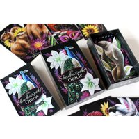 Schattensucher Oracle Deck | Dark Orakel Mit Tieren, Blumen & Pflanzen, Orakelkarten Ratgeber, Indie von JoyseekerTarot