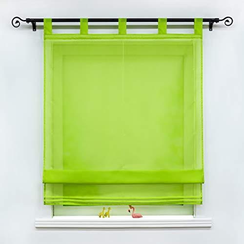 Joyswahl Voile Raffrollo Raffgardinen mit Schlaufen »Sophia« Transparent Gardine mit Zierfalten Muster Raffrollos BxH 120x155cm Grün 1 Stück von Joyswahl