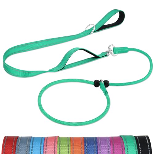 Joytale Doppelter Griff Retrieverleine mit Zugstopp, 1,8m Verhedderungsfreies Trainingsleine für Hunde, Reflektierend Führleine aus weichem Nylon für Kleine und Mittlere Hunde, Türkis Joytale Doppelter Griff Retrieverleine mit Zugstopp, 1,8m Verhedderungsfreies Trainingsleine für Hunde, Reflektierend Führleine aus weichem Nylon für Kleine und Mittlere Hunde, Türkis von Joytale