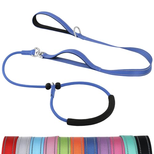 Joytale Doppelter Griff Retrieverleine mit Zugstopp, Gepolstert Zugstopp Halsband Hunde, Trainingsleine für Hunde - 2 in 1 Halsband Hund und Leine für Kleine, Mittlere und Große Hunde, 1,8M, Navy Blau von Joytale