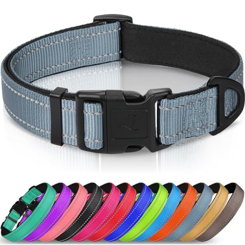 Joytale Halsband Hund, Gepolstertes Hundehalsband Breit aus Neopren Nylon Hundehalsband Verstellbar für Mittelgroße Hunde, Weich und Reflektierend Hundehalsbänder, M, Grau Joytale Halsband Hund, Gepolstertes Hundehalsband Breit aus Neopren Nylon Hundehalsband Verstellbar für Mittelgroße Hunde, Weich und Reflektierend Hundehalsbänder, M, Grau von Joytale