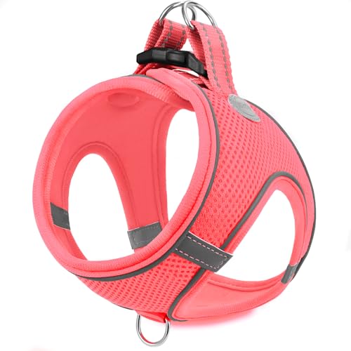 Joytale Hundegeschirr, Reflektierend Weich Gepolstert Hunde Geschirr, Air-Mesh Atmungsaktiv Brustgeschirr für Kleine Mittelgroße Hunde, M, Pink von Joytale