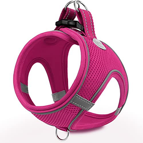 Joytale Hundegeschirr, Reflektierend Weich Gepolstert Hunde Geschirr, Air-Mesh Atmungsaktiv Brustgeschirr für Welpen, Kleine Hunde, XS, Leuchtend Rosa von Joytale