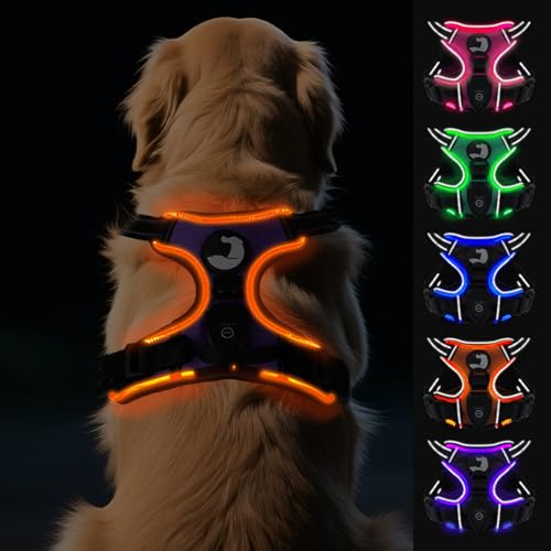 Joytale Hundegeschirr Leuchtend Aufladbar für Große Hunde, No Pull LED Hundegeschirr Reflektierend mit Griff, Gepolstertes Leuchtgeschirr Verstellbar für Nachtspaziergang, Lila, XL Joytale Hundegeschirr Leuchtend Aufladbar für Große Hunde, No Pull LED Hundegeschirr Reflektierend mit Griff, Gepolstertes Leuchtgeschirr Verstellbar für Nachtspaziergang, Lila, XL von Joytale