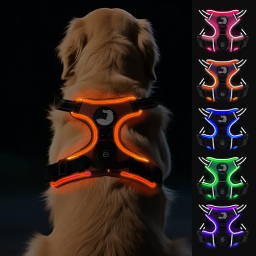 Joytale Hundegeschirr Leuchtend Aufladbar für Große Hunde, No Pull LED Hundegeschirr Reflektierend mit Griff, Gepolstertes Leuchtgeschirr Verstellbar für Nachtspaziergang, Orange, XL Joytale Hundegeschirr Leuchtend Aufladbar für Große Hunde, No Pull LED Hundegeschirr Reflektierend mit Griff, Gepolstertes Leuchtgeschirr Verstellbar für Nachtspaziergang, Orange, XL von Joytale