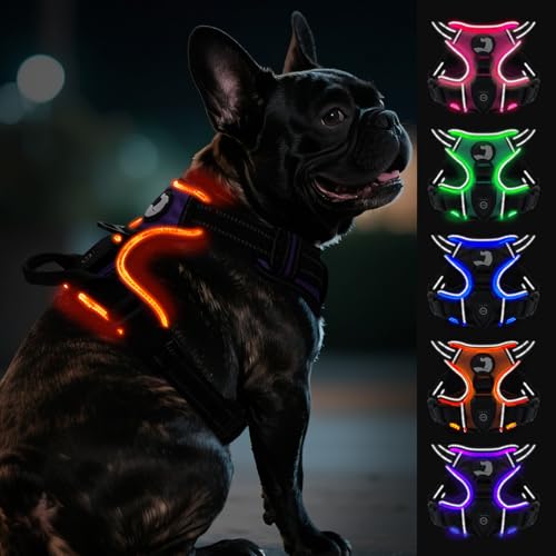 Joytale Hundegeschirr Leuchtend Aufladbar für Kleine Hunde, No Pull LED Hundegeschirr Reflektierend mit Griff, Gepolstertes Leuchtgeschirr Verstellbar für Nachtspaziergang, Lila, S Joytale Hundegeschirr Leuchtend Aufladbar für Kleine Hunde, No Pull LED Hundegeschirr Reflektierend mit Griff, Gepolstertes Leuchtgeschirr Verstellbar für Nachtspaziergang, Lila, S von Joytale