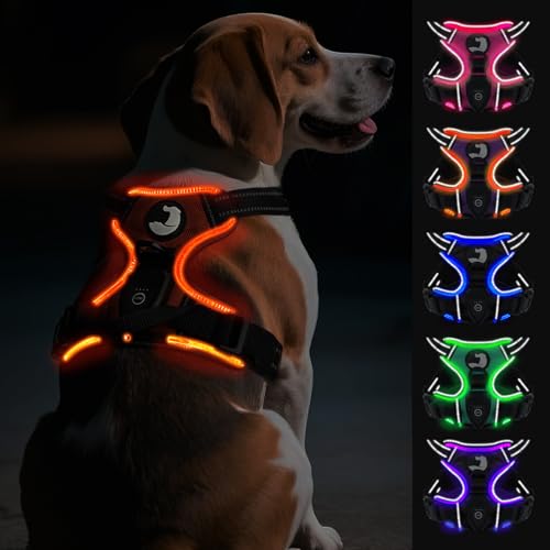 Joytale Hundegeschirr Leuchtend Aufladbar für Mittelgroße Hunde, No Pull LED Hundegeschirr Reflektierend mit Griff, Gepolstertes Leuchtgeschirr Verstellbar für Nachtspaziergang, Orange, M Joytale Hundegeschirr Leuchtend Aufladbar für Mittelgroße Hunde, No Pull LED Hundegeschirr Reflektierend mit Griff, Gepolstertes Leuchtgeschirr Verstellbar für Nachtspaziergang, Orange, M von Joytale