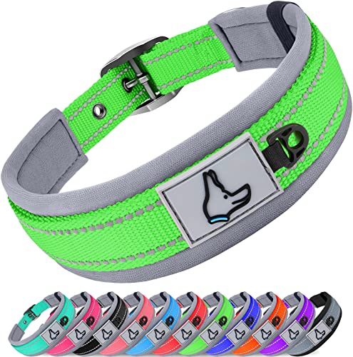 Joytale Hundehalsband, Weich Gepolstert Neopren Halsbänder für Mittlere Hunde, Nylon Reflektierend Breit Halsband Hund, Grün von Joytale