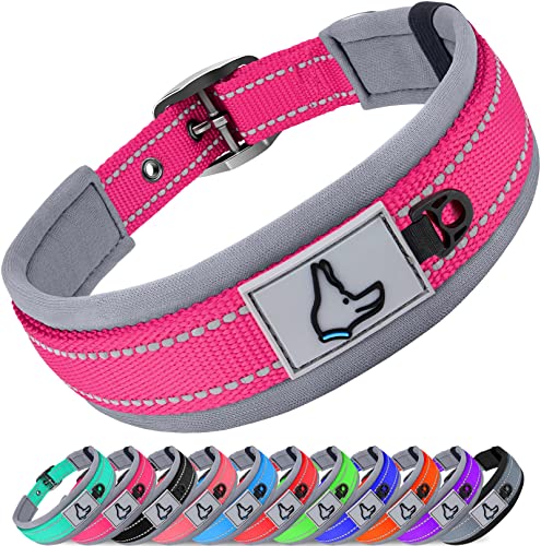 Joytale Hundehalsband, Weich Gepolstert Neopren Halsbänder für Kleine Hunde, Nylon Reflektierend Breit Halsband Hund, Leuchtend Rosa von Joytale