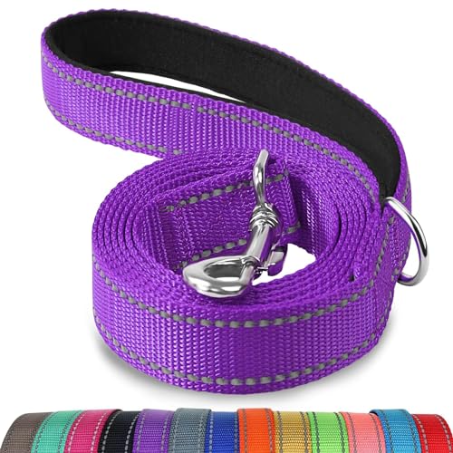 Joytale Hundeleine für Große und Mittelgroße Hunde, Doppelseitig Reflektierende Leine Hund aus Nylon mit Gepolstertem Griff, 1,5m x 2,5cm, Lila von Joytale