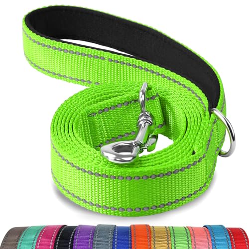 Joytale Hundeleine, 1.8/1.5/1.2m Reflektierende Leine aus Nylon mit Gepolstertem Griff für Große Mittel Hunde, 1.8m × 2.5cm, Grün von Joytale