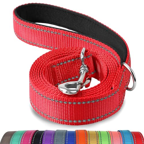 Joytale Hundeleine für Große und Mittelgroße Hunde, Doppelseitig Reflektierende Leine Hund aus Nylon mit Gepolstertem Griff, 1,8m x 2,5cm, Rot Joytale Hundeleine für Große und Mittelgroße Hunde, Doppelseitig Reflektierende Leine Hund aus Nylon mit Gepolstertem Griff, 1,8m x 2,5cm, Rot von Joytale