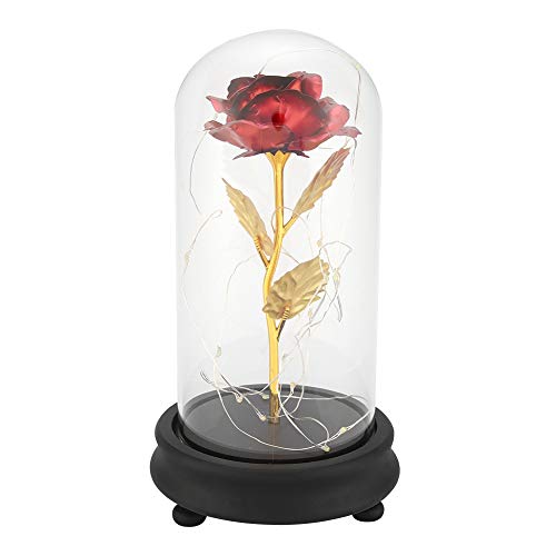 Joyzan Künstliche Blumen-Rosen-Geschenk, Blattgold-Rosenlicht mit Glasabdeckung, dauerhaft in Kuppelglas konserviert, zum Jubiläum, Thanksgiving, Valentinstag, Muttertag, Geburtstag(rot) von Joyzan