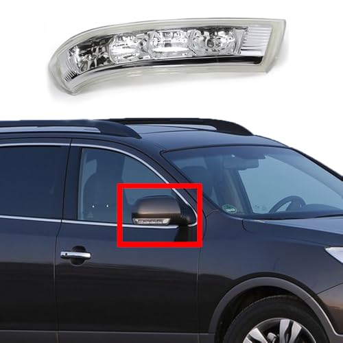 Jrfeng Auto Seitenansicht Rückspiegel Signal Licht Für Hyundai Santa Fe ix55, Außenspiegel Blinker Seitenblinker Blinker Auto Teile 87613 3J000 87623 3J000,Right Jrfeng Auto Seitenansicht Rückspiegel Signal Licht Für Hyundai Santa Fe ix55, Außenspiegel Blinker Seitenblinker Blinker Auto Teile 87613 3J000 87623 3J000,Right von Jrfeng