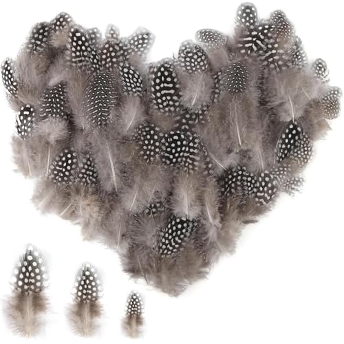 JrnSvp Perlhuhnfedern, Federn Zum Basteln, 250 Stück 4,5-10 cm Perlhuhnfedern Zum Basteln, Bastelmaterial Braune Federn, Bastelfedern für DIY Ohrringe Hochzeit Traumfänger Kopfschmuck Federmaske von JrnSvp