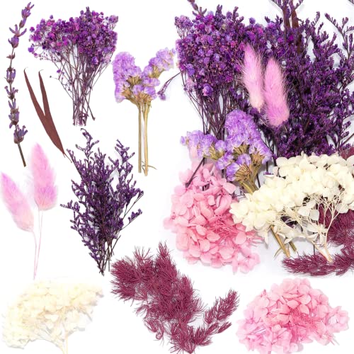 Jrzyhi Natürliche Getrocknete Blumen - Trockenblumen Set für Basteln und Dekoration - Multicolored von Jrzyhi