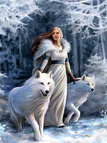 Diamond Painting Set 5d Diamant Painting Mädchen und Wolf DIY Diamantmalerei Kit für Haushaltswanddekoration 30 * 40cm Rahmenlos JuZi von JuZi