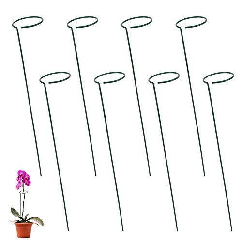 Garten Pflanzenstütze Klein 8 Stück Garten Staudenhalter Strauchstütze Stahl Garden Single Stem Stützring Orchideenstab Rankengewächs Blumenstütze für Pflanzen Blume Lilie Pfingstrose (40cm) von Jubaopen