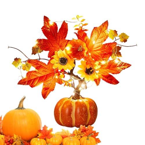 Herbstkürbis mit Lichtern - batteriebetriebene Ernte Herbstsaison Herzstück | Thanksgiving beleuchtetes Kürbisdekor für Hochzeits Heimküchenbüro Herbstkürbis mit Lichtern - batteriebetriebene Ernte Herbstsaison Herzstück | Thanksgiving beleuchtetes Kürbisdekor für Hochzeits Heimküchenbüro von Jubilofex