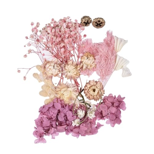 Jubilofex Getrocknete gepresste Blumen, natürliche winzige getrocknete Blüten für Harz Bunt | Harzzubehör Blumen Blütenblätter Gla Artworks, Epoxidharz -Ornamente 10 Farben von Jubilofex