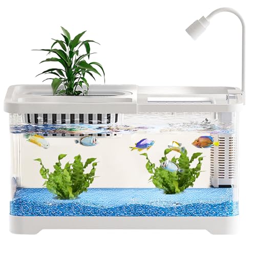 Jubilofex Kampffisch Aquarium | Kleines Bettafisch Aquarium Mit Filter | Klare Landschaftsbecken Für Guppys Schnecken Schildkröten Haustierliebhaber Anfänger Schreibtisch Wohnung Jubilofex Kampffisch Aquarium | Kleines Bettafisch Aquarium Mit Filter | Klare Landschaftsbecken Für Guppys Schnecken Schildkröten Haustierliebhaber Anfänger Schreibtisch Wohnung von Jubilofex