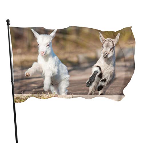 Dekoratives Banner für den Außenbereich, 90 x 152 cm, niedliche Ziegen, Polyester, saisonale Flagge für den Innen- und Außenbereich Dekoratives Banner für den Außenbereich, 90 x 152 cm, niedliche Ziegen, Polyester, saisonale Flagge für den Innen- und Außenbereich von Judjfedo