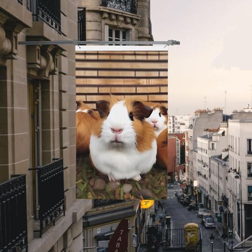 Flagge, 90 x 152 cm, doppelseitig, für draußen, Meerschweinchen, Urlaubsbanner für den Außenbereich, Veranda, Haus, Garten, Hof, Flaggen Flagge, 90 x 152 cm, doppelseitig, für draußen, Meerschweinchen, Urlaubsbanner für den Außenbereich, Veranda, Haus, Garten, Hof, Flaggen von Judjfedo